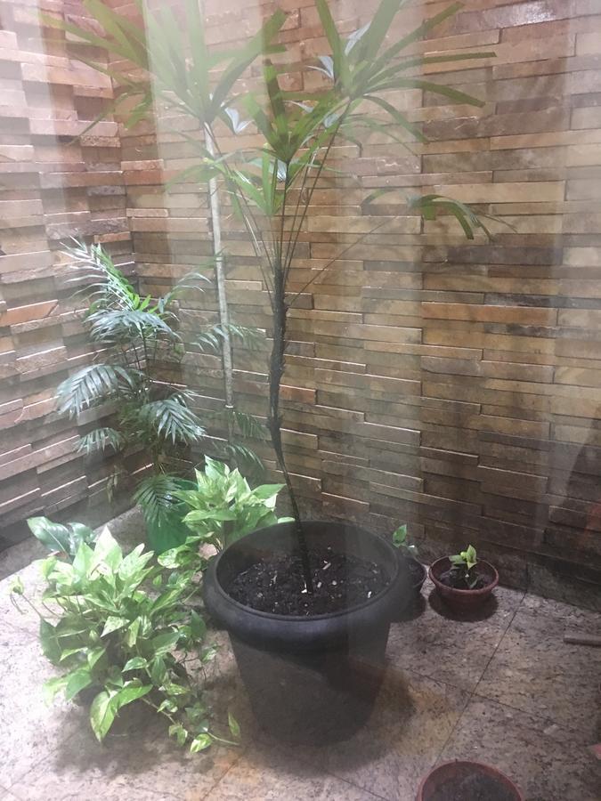 Hotel Grao Para Belém Kültér fotó